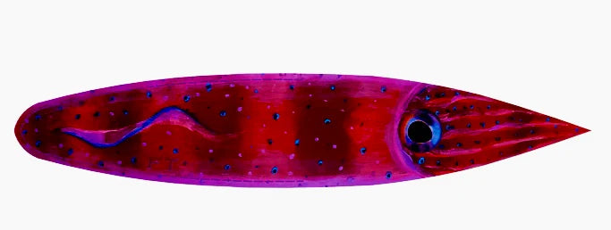 Fire Tailz Printed Dredge Strips EZ-K