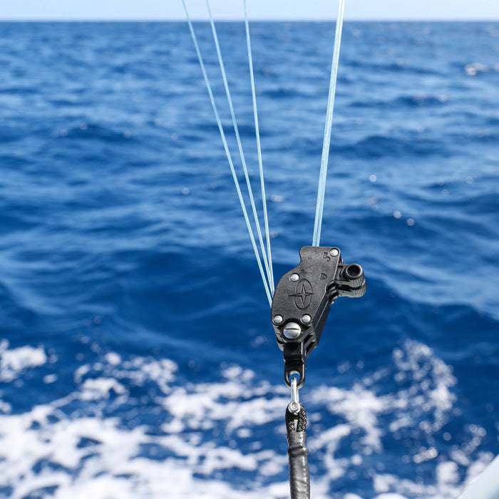 Gemlux Double 500lb Gemlox with Heavy Duty Custom Rope