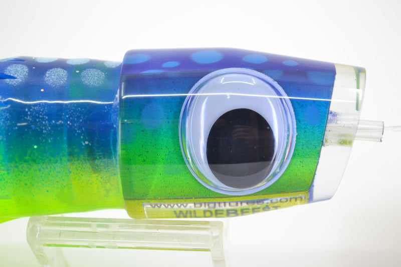 Big T Lures Blue-Green Rainbow Blue Dots Wildebeest 12" 7oz Skirted Blue-Yellow