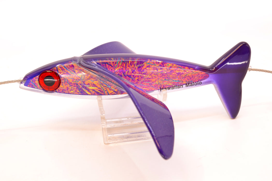 Hawaiian Malolo Bird Teaser Aku