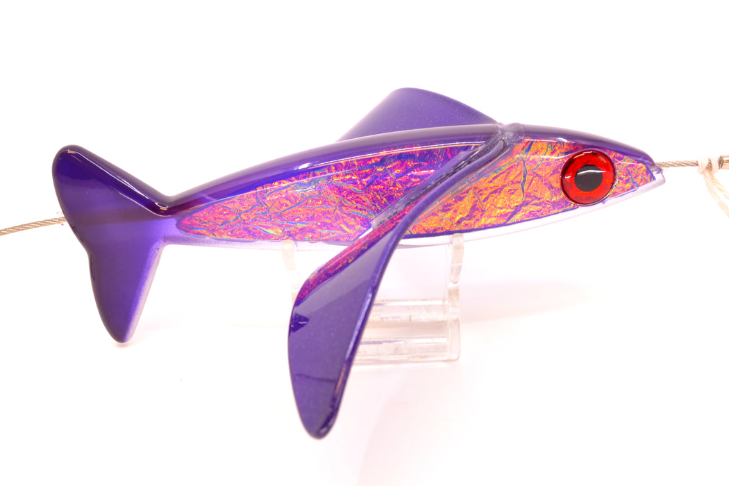 Hawaiian Malolo Bird Teaser Aku
