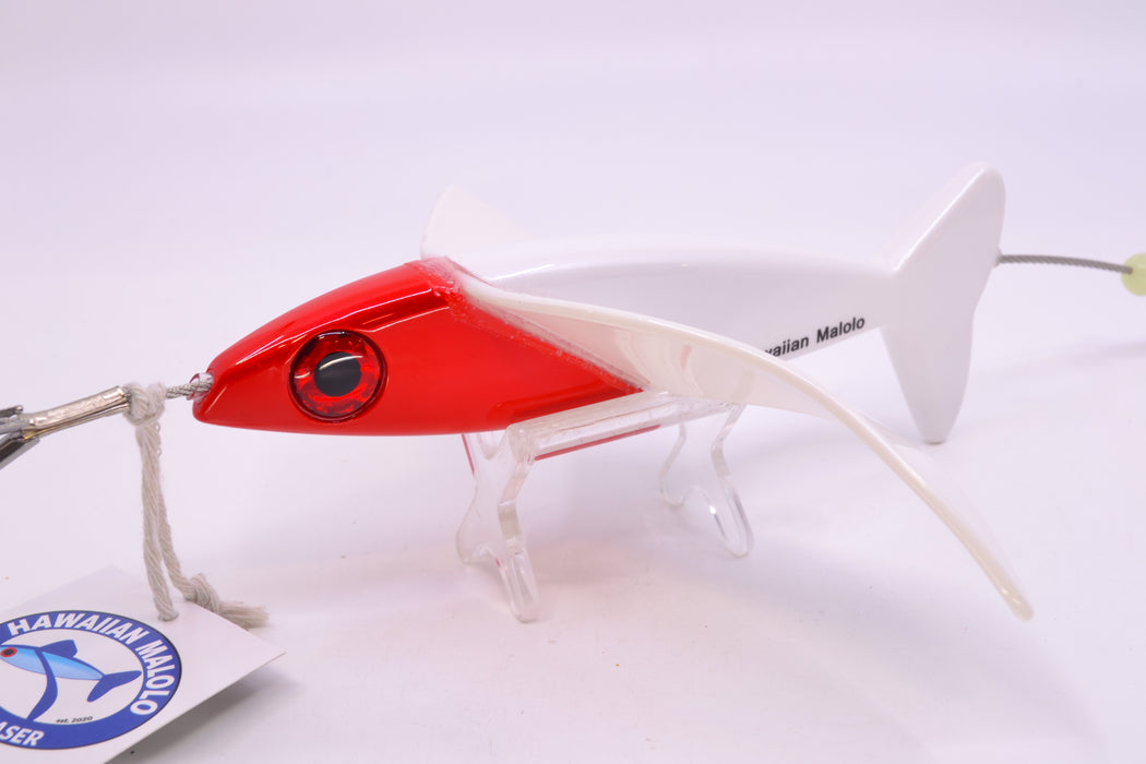 Hawaiian Malolo Bird Teaser Kona Fireball