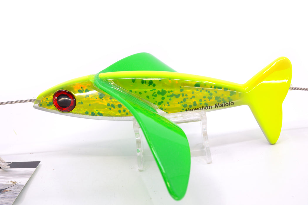 Hawaiian Malolo Bird Teaser Mahimahi