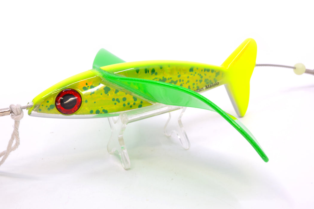 Hawaiian Malolo Bird Teaser Mahimahi