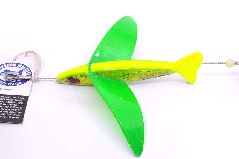 Hawaiian Malolo Bird Teaser Mahimahi
