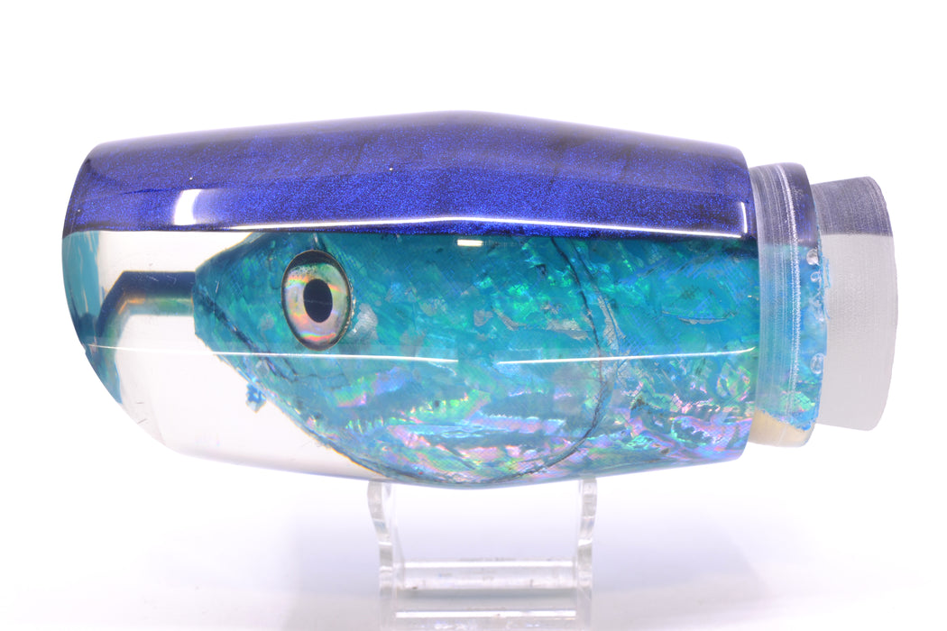 Ali'i Kai Lures Ice Blue Awabi Shell Blue Back Fish Head Torta Teaser 27.5oz