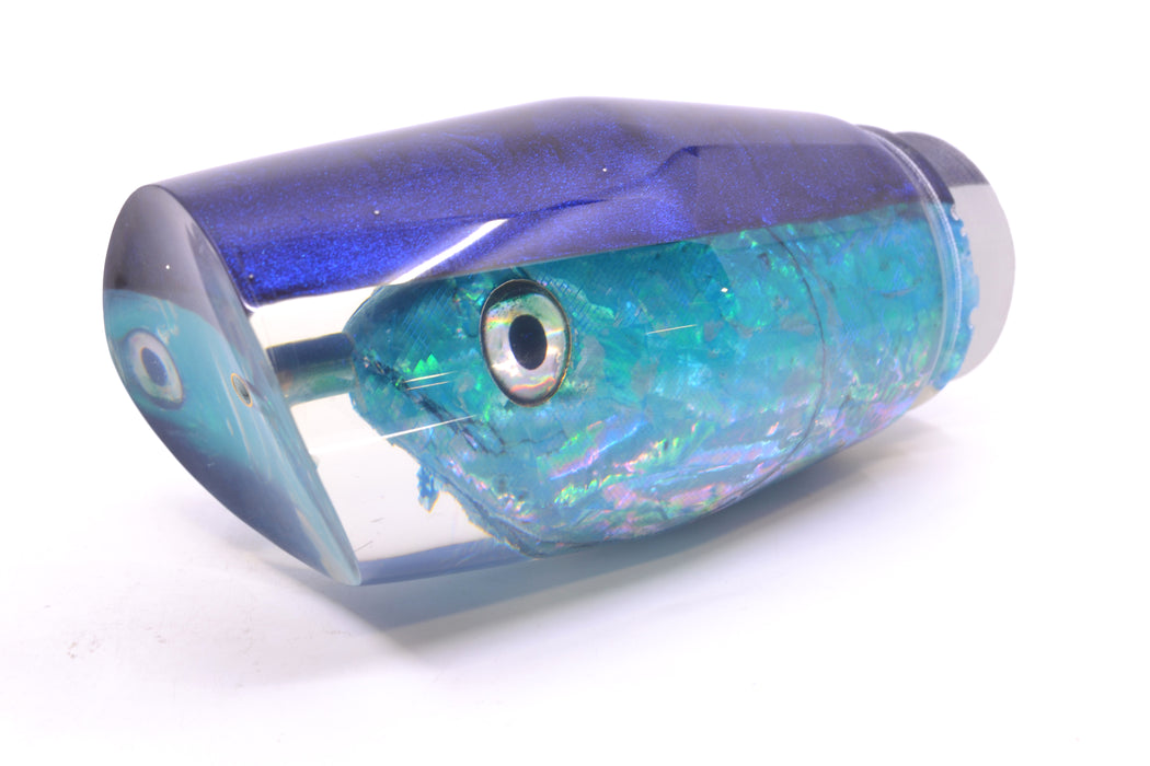Ali'i Kai Lures Ice Blue Awabi Shell Blue Back Fish Head Torta Teaser 27.5oz