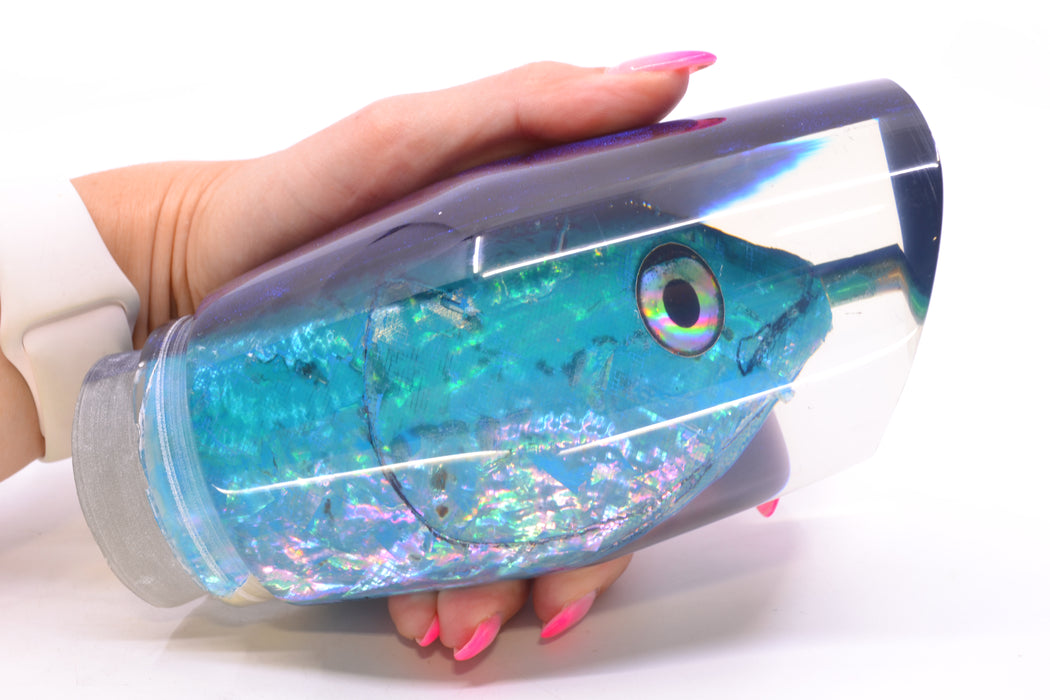 Ali'i Kai Lures Ice Blue Awabi Shell Blue Back Fish Head Torta Teaser 27.5oz