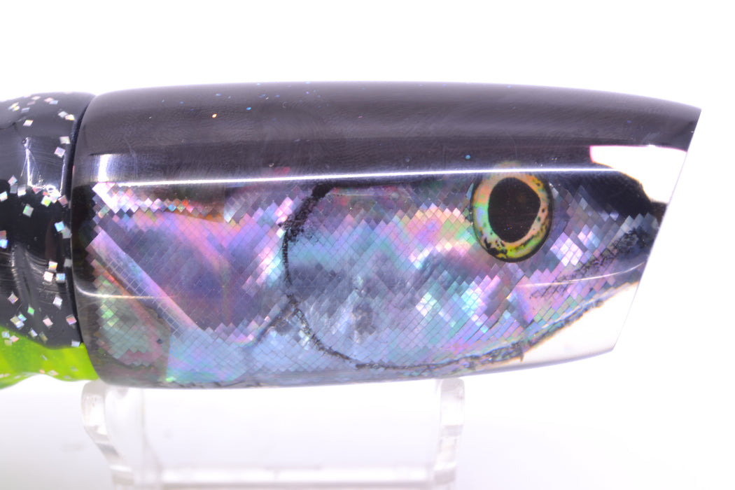 Ali'i Kai Lures Abalone Shell Black Back Fish Head Medium Plunger 12" 10oz Skirted Magic Johnson GZE