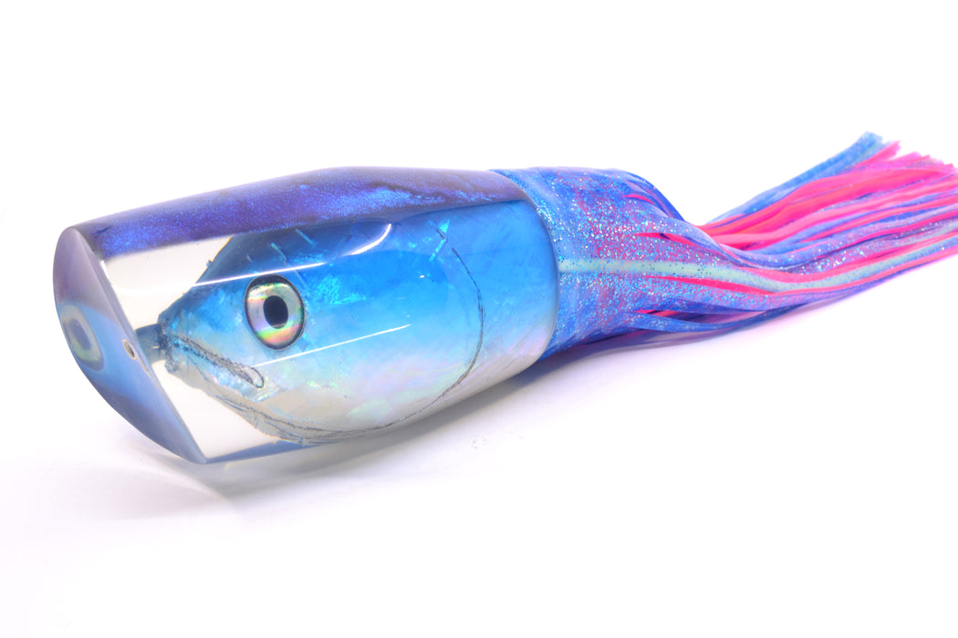 Ali'i Kai Lures Blue-White Shell Blue Back Fish Head Torta Teaser 30oz Skirted Blue Dots
