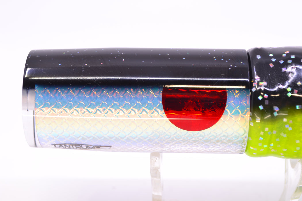 TANTRUM Lures Ice Rainbow Scale Black Back Medium AMN 9" 4.3oz Skirted Black/Rainbow GZE
