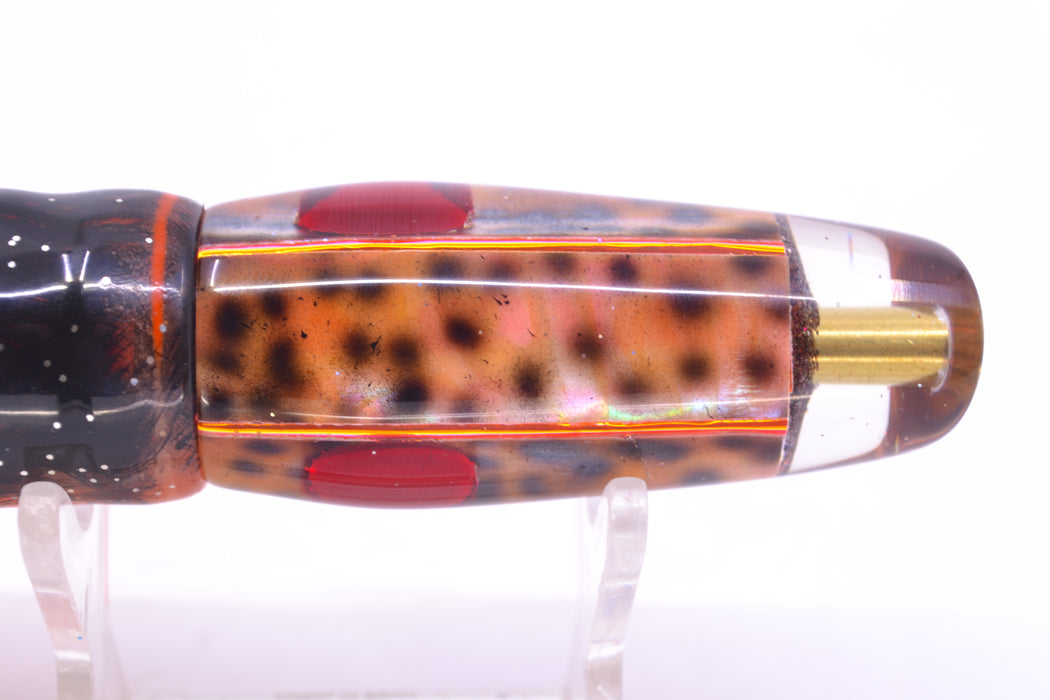 Ganku Lures "Tiger Cowrie" Square Longneck Cut Face 7" 6oz Skirted Root Beer-Petrolero GZE
