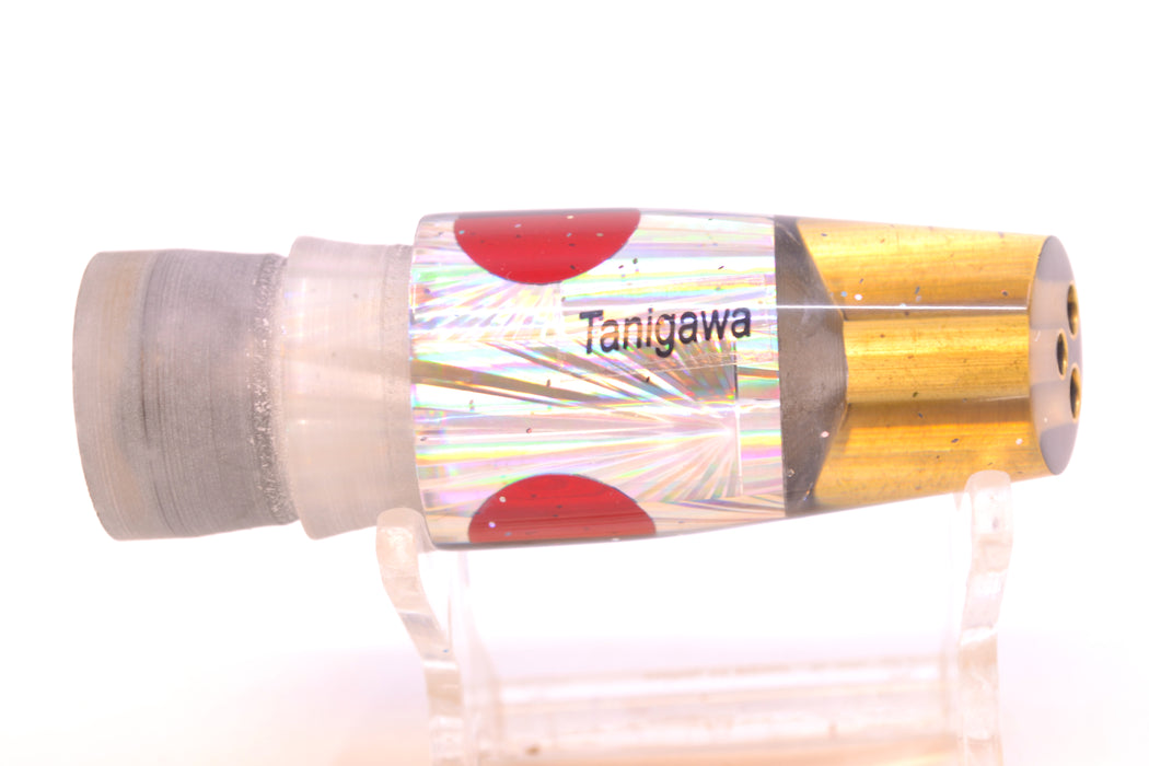 Tanigawa Lures Silver Rainbow Starburst Black Back Red Eyes 2-Hole Slant 7" 5oz GZE