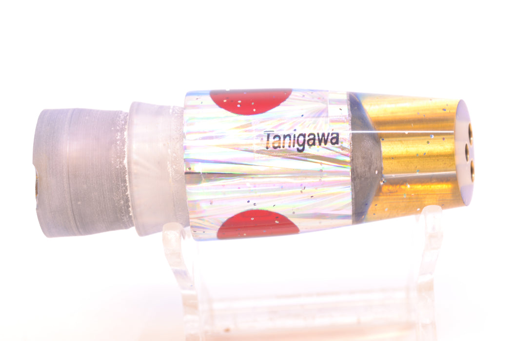 Tanigawa Lures Silver Rainbow Starburst Blue Back Red Eyes 2-Hole Slant 7" 5oz GZE