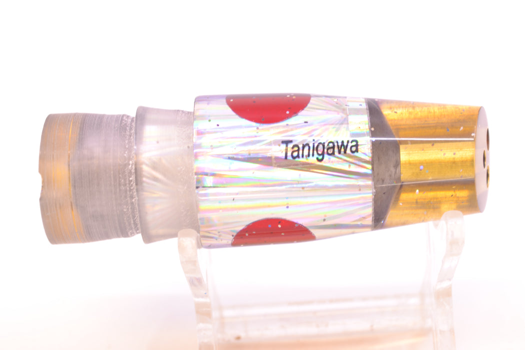Tanigawa Lures Silver Rainbow Starburst Purple Back Red Eyes 2-Hole Slant 7" 5oz GZE