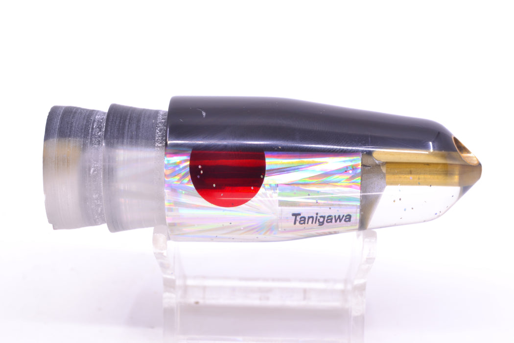 Tanigawa Lures Silver Rainbow Starburst Black Back Red Eyes 2-Hole Bullet 9"+ 7.8oz GZE