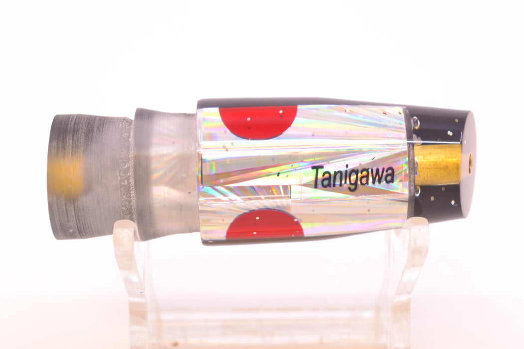 Tanigawa Lures Silver Rainbow Starburst Black Back Red Eyes Small Slant 7" 3oz GZE