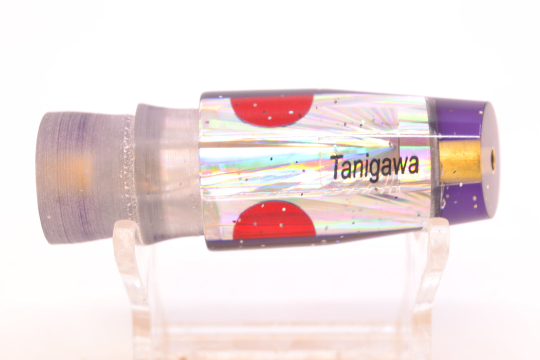 Tanigawa Lures Silver Rainbow Starburst Purple Back Red Eyes Small Slant 7" 3oz GZE