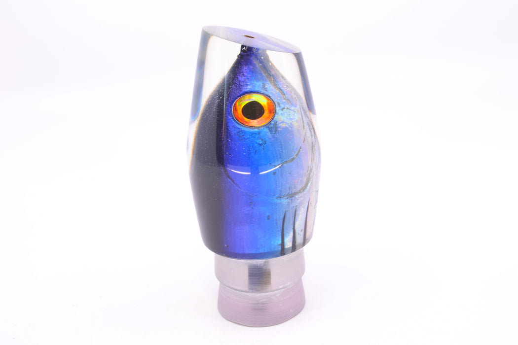 Ali'i Kai Lures Skipjack Fish Head Tahitian Pirate 14" 7.5oz