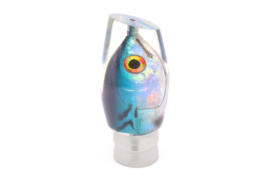 Ali'i Kai Lures Bonito Fish Head Tahitian Pirate 14" 7.5oz