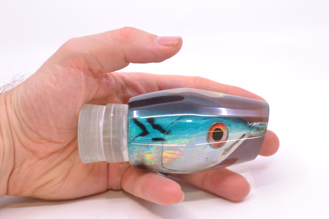 Ali'i Kai Lures Bonito Fish Head Tahitian Pirate 14" 7.5oz