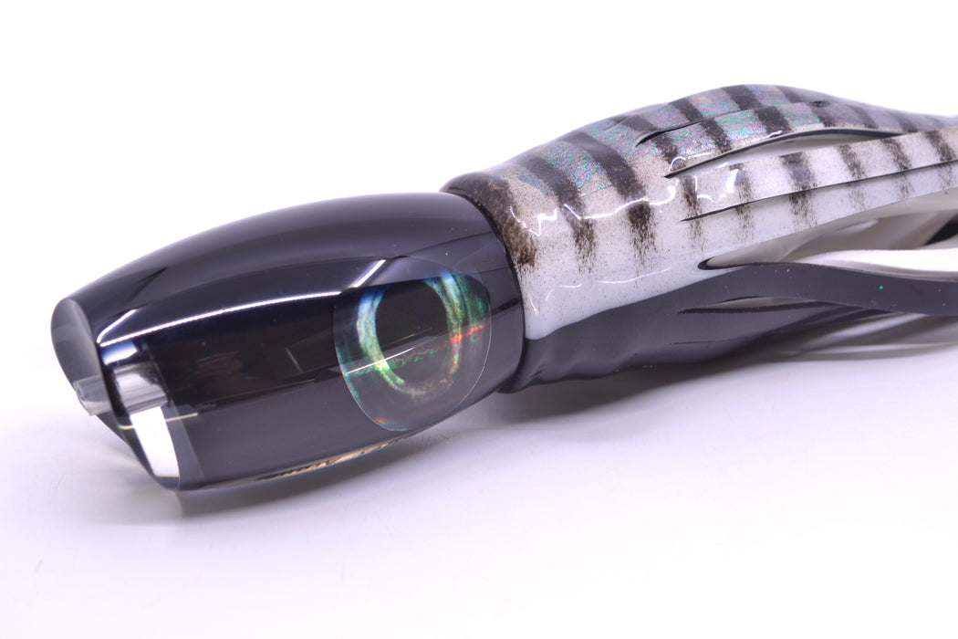 Moyes Lures Black Pearl Black Back Taxi Eyes Medium Argus 12" 6oz Skirted White Aurora