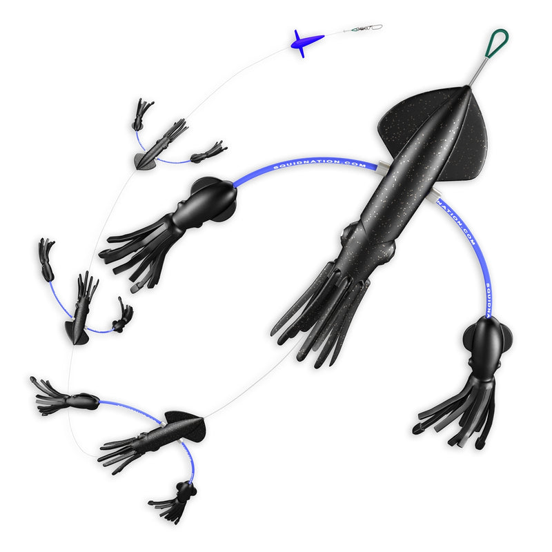 Squid Nation That Flippy Floppy Thing