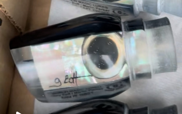 Marlin Magic White Awabi Shell Black Back Taxi Eyes Hibby 14" 8oz EZ-K