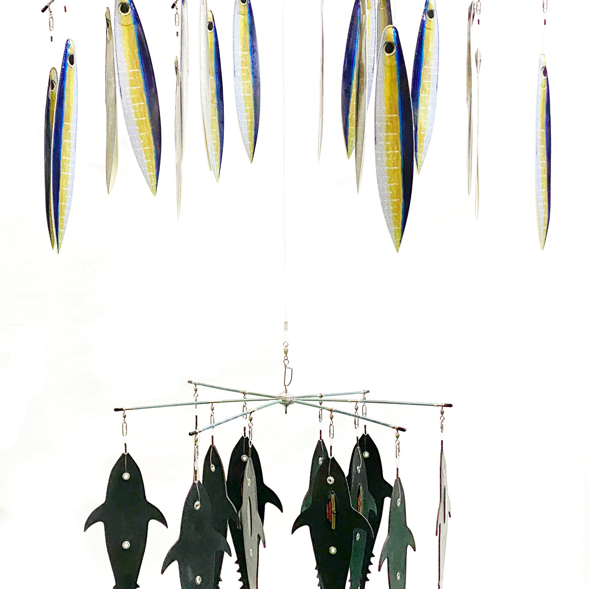 IMG-9747_1200x1200_crop_center