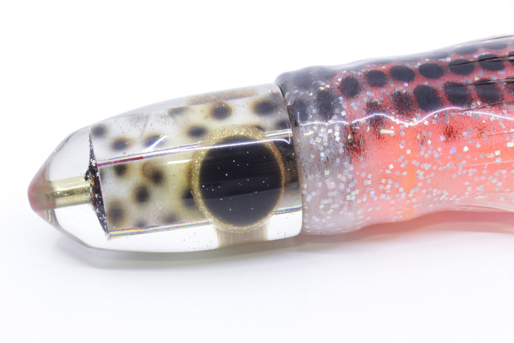 Ganku Lures "Tiger Cowrie" Bumbucha Bullet 9"+ 8oz Skirted Black Dots/Orange-Pink