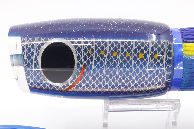 Amaral Lures Blue Rainbow Scale Blue Back Naja 16" 14.5oz Blue-Yellow-Blue
