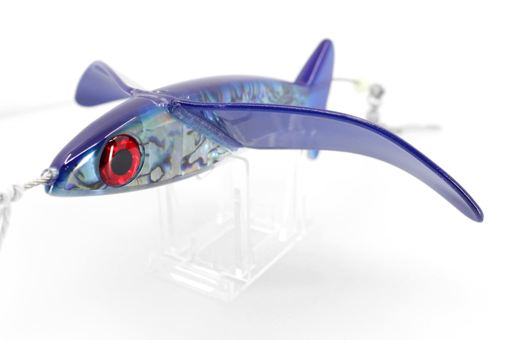 Hawaiian Malolo Bird Teaser Pacific Thunder EZ-K