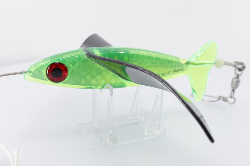Hawaiian Malolo Bird Teaser Mean Joe Green Rainbow Scale