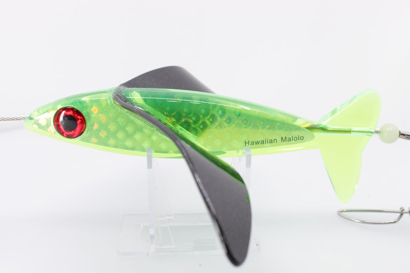 Hawaiian Malolo Bird Teaser Mean Joe Green Rainbow Scale