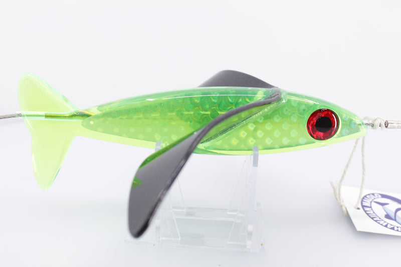 Hawaiian Malolo Bird Teaser Mean Joe Green Rainbow Scale