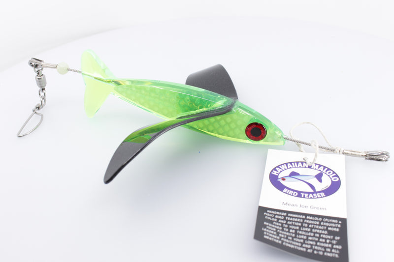 Hawaiian Malolo Bird Teaser Mean Joe Green Rainbow Scale