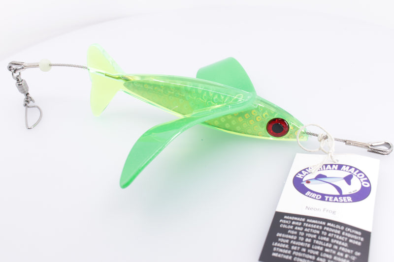 Hawaiian Malolo Bird Teaser Neon Frog Rainbow Scale