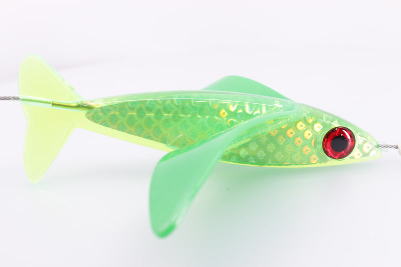 Hawaiian Malolo Bird Teaser Neon Frog Rainbow Scale
