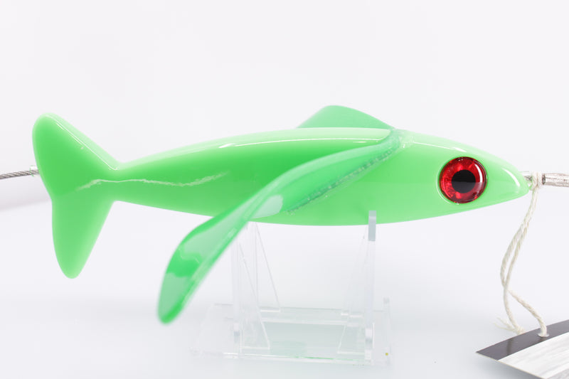 Hawaiian Malolo Bird Teaser Illuminator