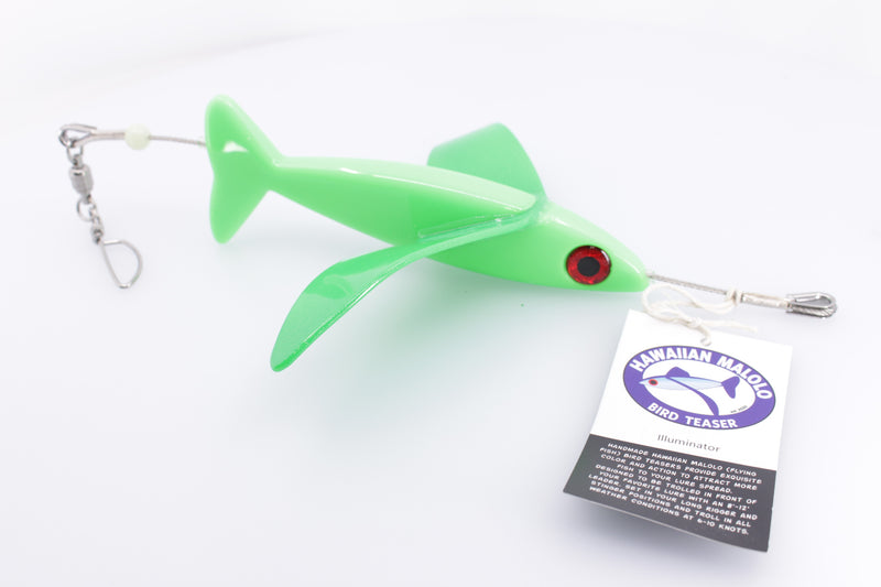Hawaiian Malolo Bird Teaser Illuminator