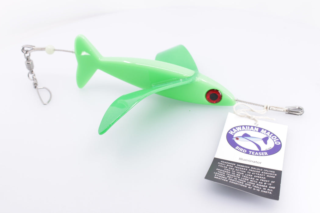 Hawaiian Malolo Bird Teaser Illuminator EZ-K
