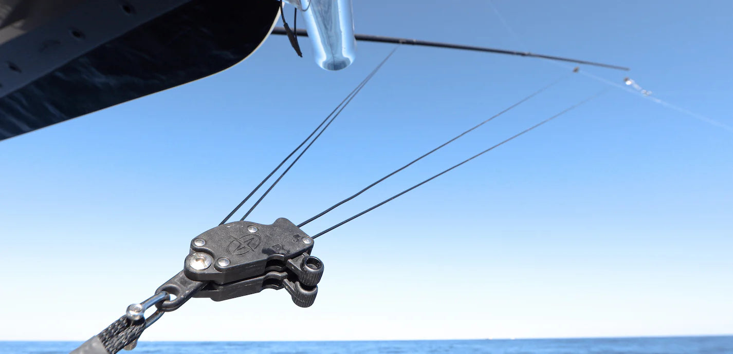 Gemlux Double 500lb Gemlox with Heavy Duty Custom Rope