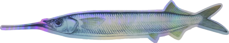 Fish Razr StripZ Teasers 6pk