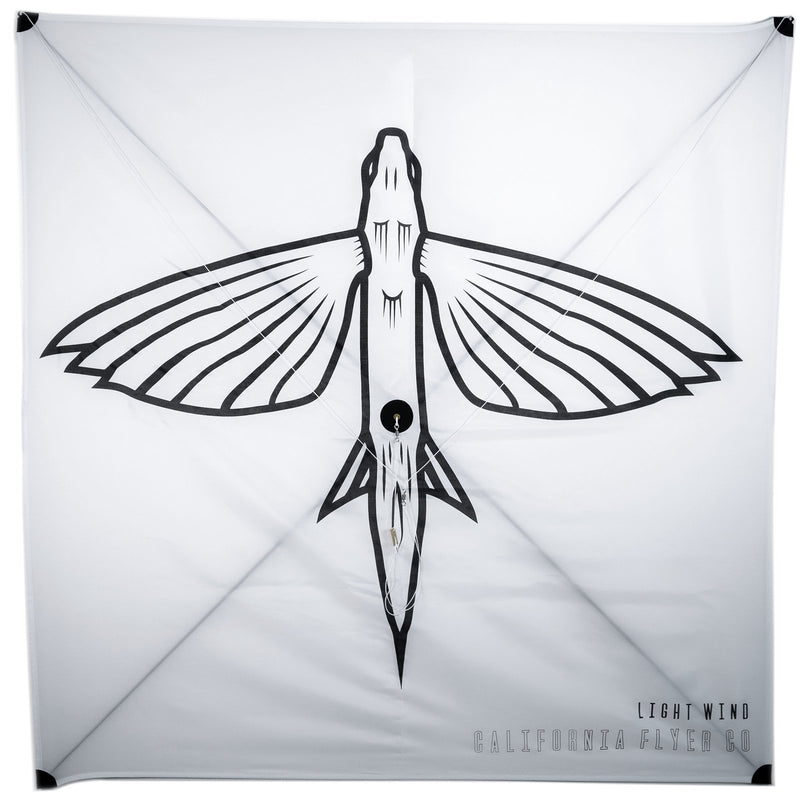 California Flyer Light Wind Condition Fishing Kite