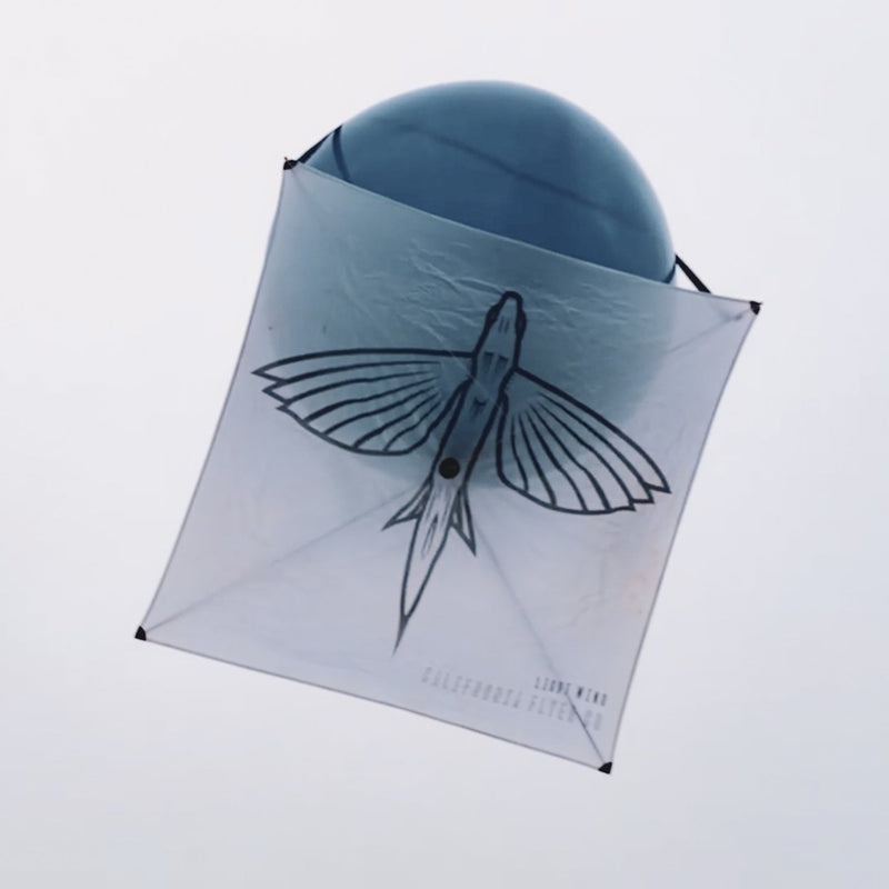 California Flyer Light Wind Condition Fishing Kite